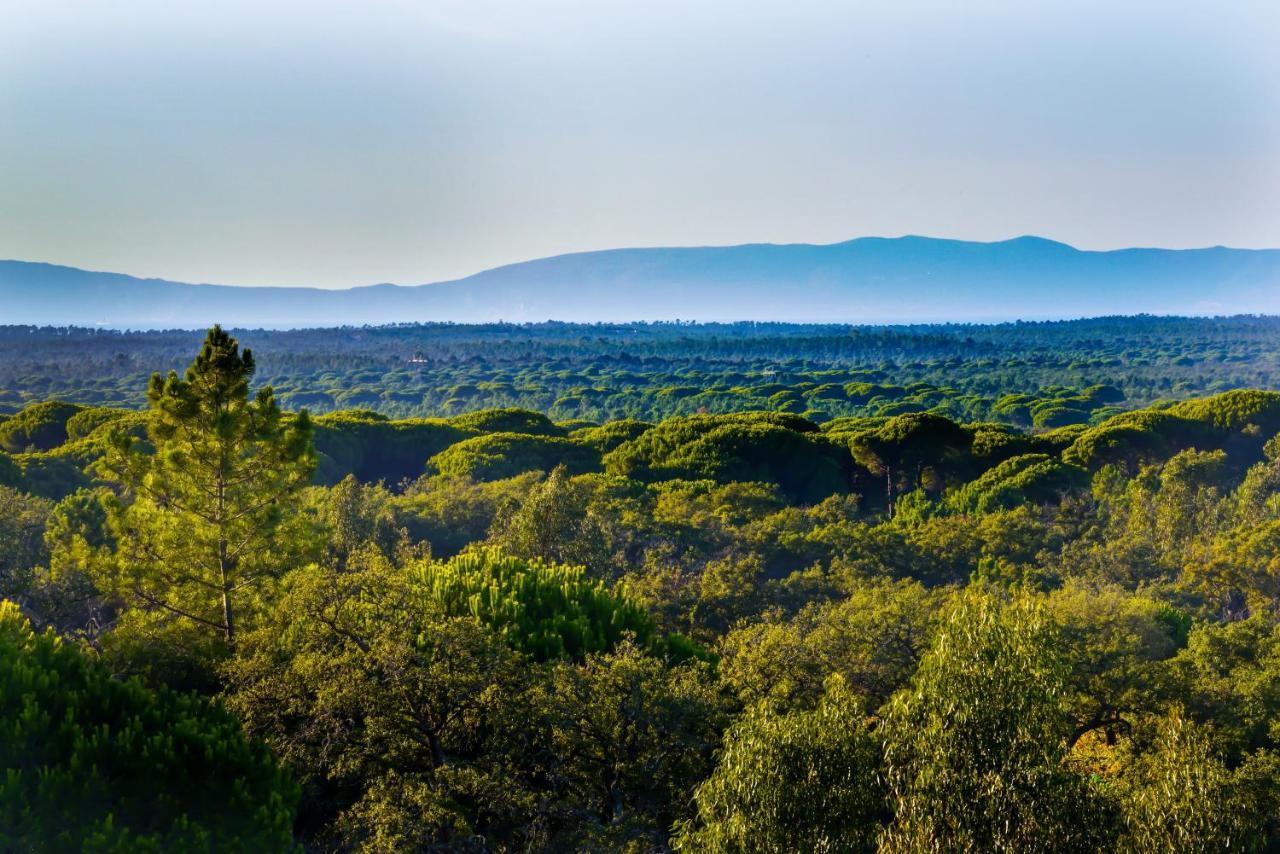 A Serenada Enoturismo Грандола Экстерьер фото