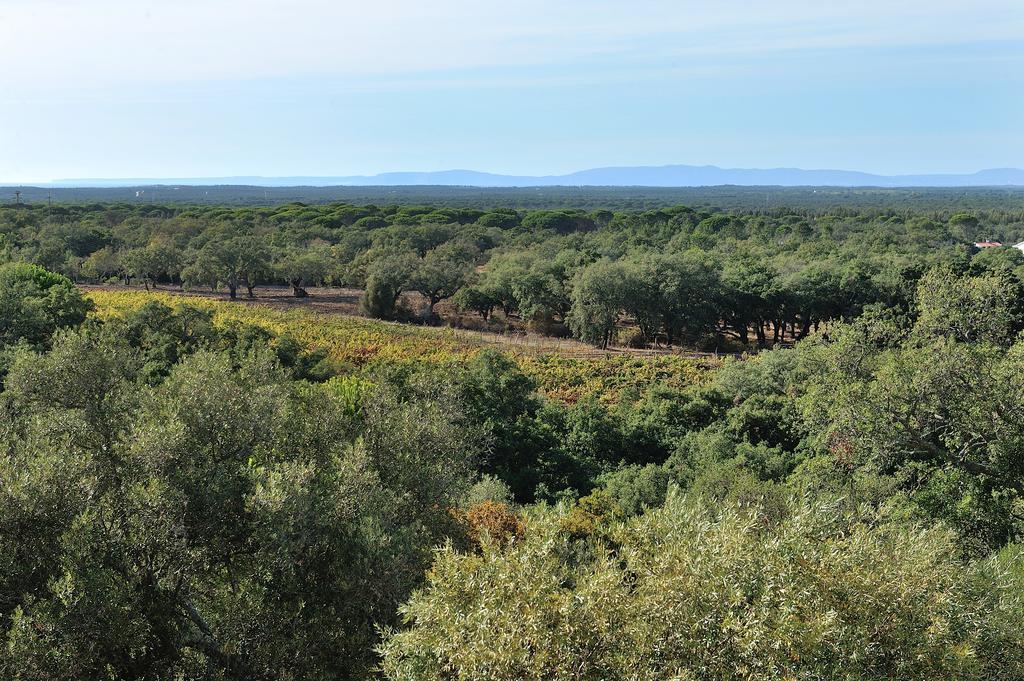 A Serenada Enoturismo Грандола Экстерьер фото